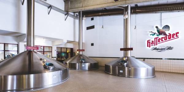 Teaser Image: Hasseröder Brauereibesichtigung